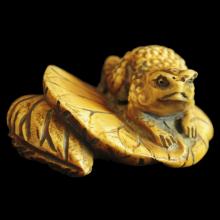 Netsuke en ivoire, grenouille